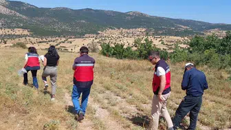 Karbasan köyünde organik adaçayı denetimi: Kaliteli tarım için adım atıldı