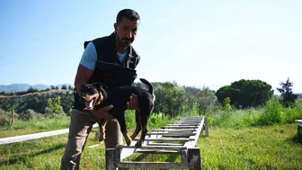 Doğal afetlerde hayat kurtaran köpekler: Tevfik Gül’ün azmi
