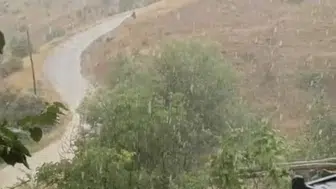 Elazığ'da gök gürültülü sağanak yağış etkisini sürdürüyor