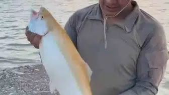 Keban Baraj Gölü'nde nadir bulunan albino alabalık heyecanı