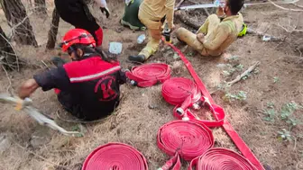 Yangın ortasında kalmış kaplumbağaya ekiplerden kurtarma operasyonu