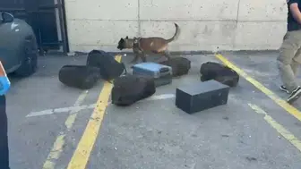 Kocaeli'de narkotik köpeği valizdeki toplu ecza operasyonu ile dikkat çekti