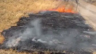 Elazığ'da otluk alandaki yangın hızla kontrol altına alındı