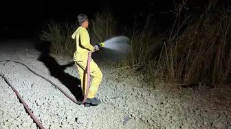 Arsuz'daki ot ve kamışlık alan yangını hızlıca kontrol altına alındı