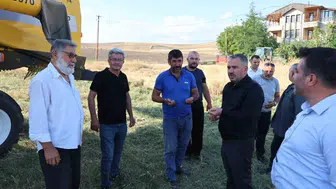 Pursaklar'da nohut hasadı yüzleri güldürüyor