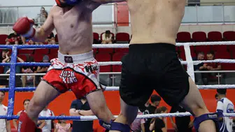 Bilecik’te kick boks heyecanı: 21 ilden 480 sporcu ringde buluştu
