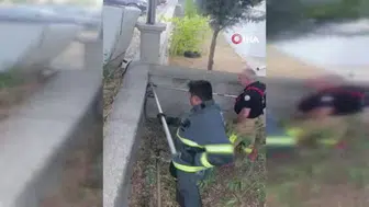 Bahçeye giren yılan, itfaiye ekipleri tarafından güvenle yakalandı