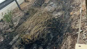 Seyir halindeki aracın izmariti yangına neden oldu