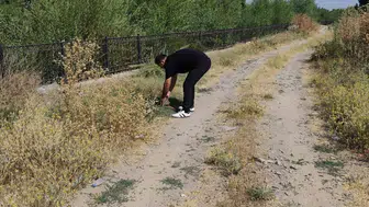 Duyarlı esnafın kaplumbağa kurtarması: Bulanık'ta dikkat çekti