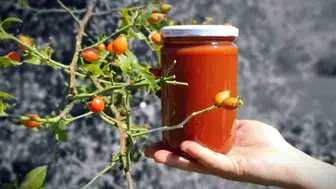 Erzincan kadınları kışa hazırlık yapıyor: Menemen konservesi ve salça üretimi başladı