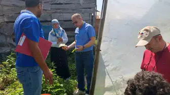 Sinop'ta tarım projeleri sonuç vermeye başladı: Fidelerden hasat dönemi geldi
