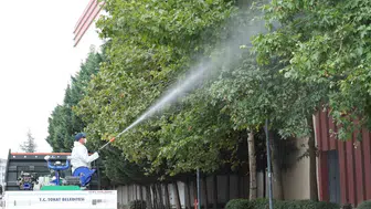 Tokat'ta haşere ile mücadelede kararlılık: İlaçlama seferberliği sürüyor