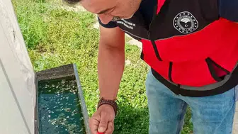 Afyonkarahisar'da haziran böceğiyle mücadele çalışmaları sürüyor