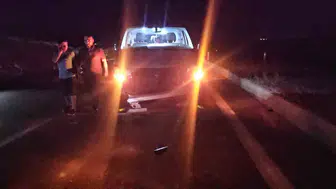 Adilcevaz'da trafik kazası: 25 koyun telef oldu