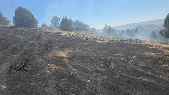 Gölbaşı’ndaki örtü yangını kısa sürede kontrol altına alındı