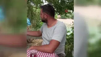 Uğur'un omuz arkadaşı: Perişan isimli saksağanın dostluğu
