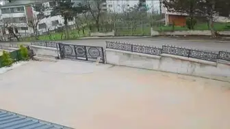 Köpeğe çarpan sürücünün kaçışı, küçük kızı bayılttı
