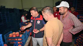 Şeftalinin tüm süreçleri Çivril'de incelendi: Tarım müdürü önemli bilgiler verdi