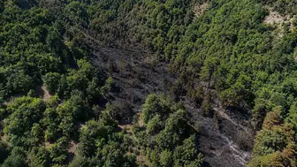 Sinop'taki orman yangınında başarılı müdahale: Yangın kontrol altına alındı