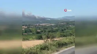 Bayramiç'te çıkan orman yangınına anında müdahale edildi