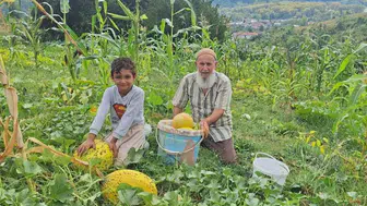 Türkeli’de küçük tarımsal üretimle yüksek kaliteli ürünler elde ediliyor