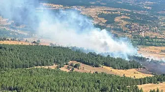 Emet'te orman alanında çıkan yangın kısa sürede kontrol altına alındı