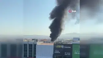 İzmir'de silahlı çetelere dev operasyon: 28 gözaltı