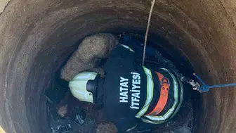 Antakya'da kuyudan kurtarılan iki koyun sahibine teslim edildi