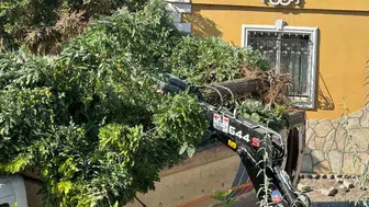Sındırgı'da yol çalışmaları ağaçları hedef aldı