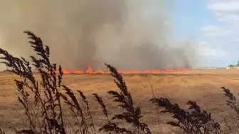 Silivri’de tarlada çıkan yangın, havadan yapılan müdahalelerle kontrol altına alınmaya çalışılıyor