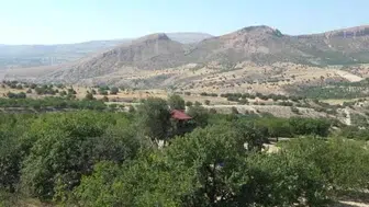 Malatya'da 150 yıllık meşe ağacının üzerine inşa edilen ev ilgi odağı