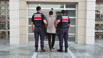 Germencik'te incir hırsızlığı yapan şahıs suçüstü yakalandı