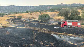 Bilecik'te buğday tarlasında yangın: Ekipler anında müdahale etti