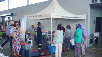 Ayvalık'ta salça hazırlıkları başladı: Ücretsiz makinelerle tatlı telaş