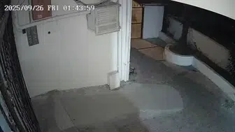 Güllü'nün hayatını kaybettiği geceye ait görüntüler kameralara yansıdı