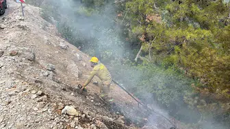 Alanya'da orman yangını hızlı müdahale ile kontrol altına alındı