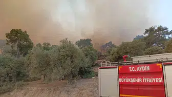 Alevlerin arasında kalan kaplumbağayı itfaiye erleri kurtardı