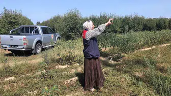 Babaeski'de tarım arazileri için kapsamlı analiz sürüyor