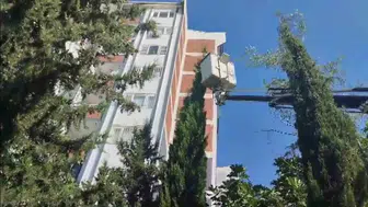 Adıyaman'da ağaçta mahsur kalan yavru kedi itfaiye tarafından kurtarıldı