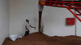 Kandıra'daki yeni depolama merkezi fındık üreticilerine destek sağlıyor