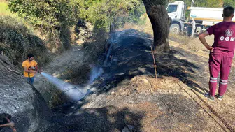 Kastamonu'da tarlada çıkan örtü yangını hızlıca kontrol altına alındı