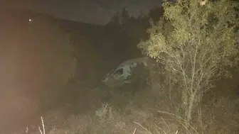 Denizli'de yabani hayvana çarpan araç şarampole devrildi