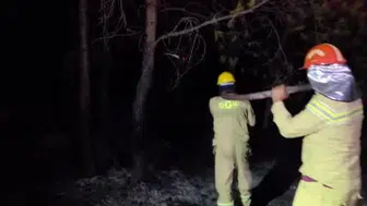 Kaş'taki orman yangınında kontrol hamlesi başarısı: Ekipler mücadeleye devam ediyor