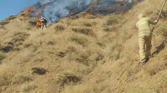 Bingöl'deki yangın sonrası soğutma çalışmaları devam ediyor