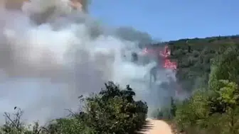 Kocaeli'de yangın alarmı: Ekipler seferber oldu