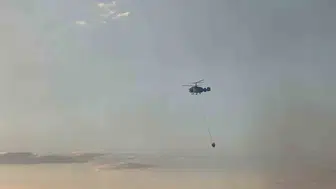Uşak'ta makilik alanda başlayan yangın meşelik bölgeyi tehdit ediyor