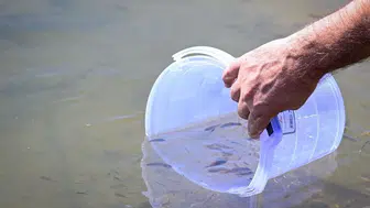 Kırklareli Barajı’na 450 bin yavru sazan balığı salındı