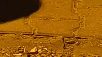 İnegöl'de sokakta çıkan kavgada baba ve oğlu tüfekten çıkan saçmalarla yaralandı
