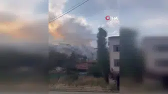 Keçiören'deki ağaçlık alanı alevler sardı