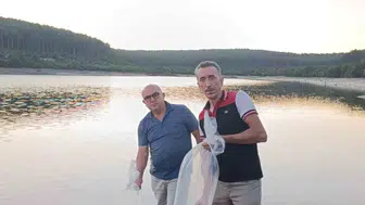 Orhaneli'de sulama göletleri sazan yavruları ile canlandı